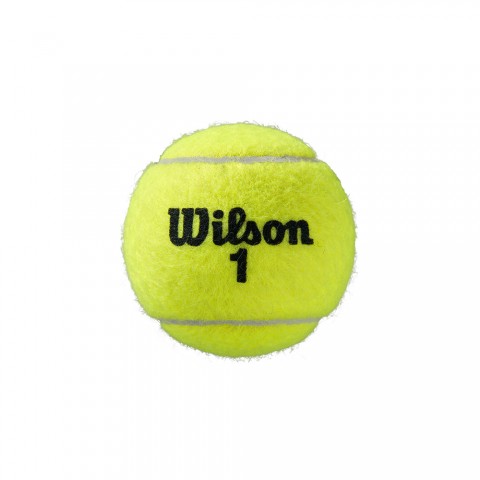 Bipack Balles Tennis Wilson Roland Garros All Court x4 16460