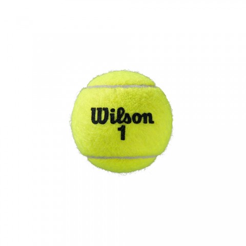 Balles Tennis Wilson Roland Garros All Court x4 19079