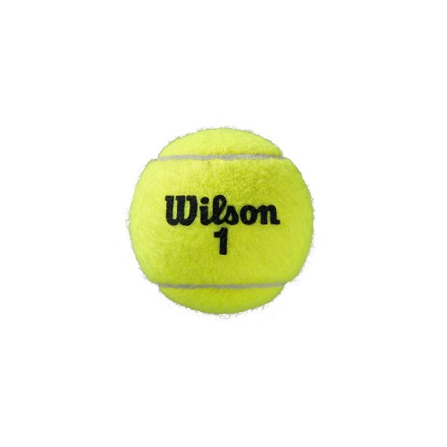 Balles Tennis Wilson Roland Garros All Court x4 19079
