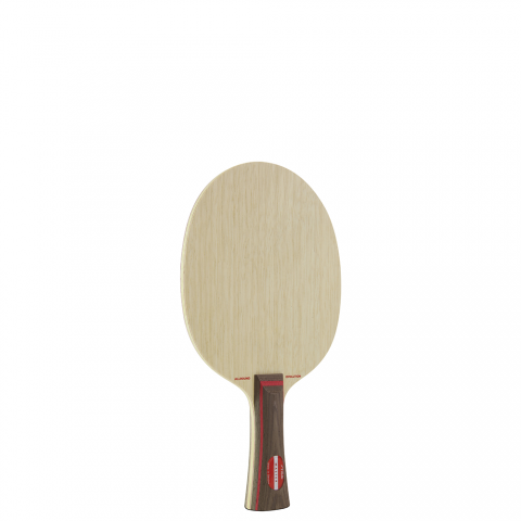 Bois Tennis de Table Stiga Allround Evolution 22501