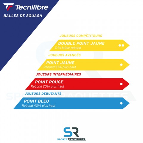 Balles Squash Tecnifibre Double Point Jaune x2 23252