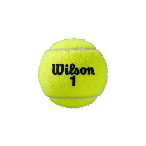 Balles Wilson Roland Garros Clay x4