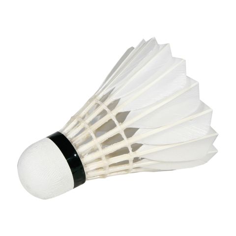 Volants Victor Badminton Special