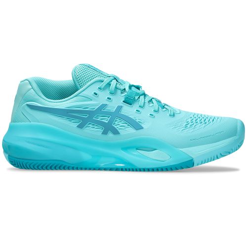 Chaussures Tennis Asics Gel Resolution X Terre Battue Homme 401