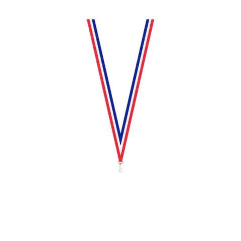 Ruban 10MM Bleu Blanc Rouge