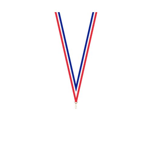 Ruban 10MM Bleu Blanc Rouge