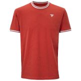 Tee-shirt Tecnifibre Team Stretch Homme Terracota