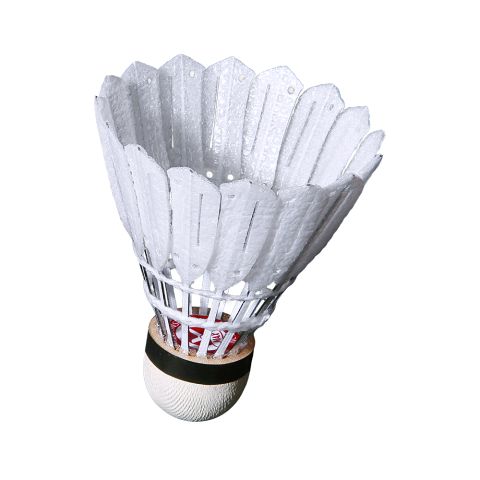 Volants Victor Carbonsonic NCS Max