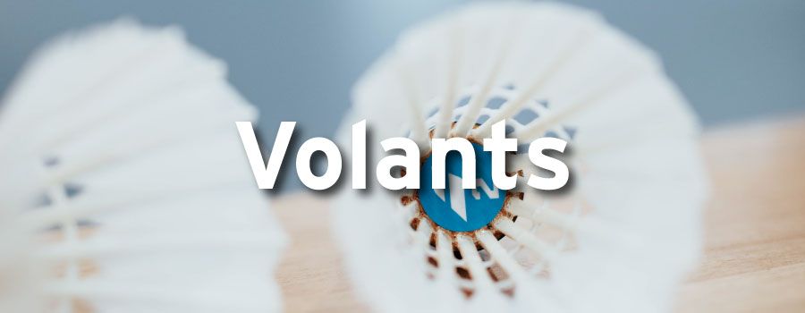 Volants Badminton Babolat