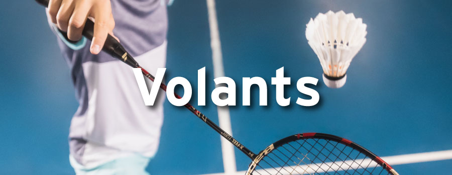 Volants Badminton Babolat