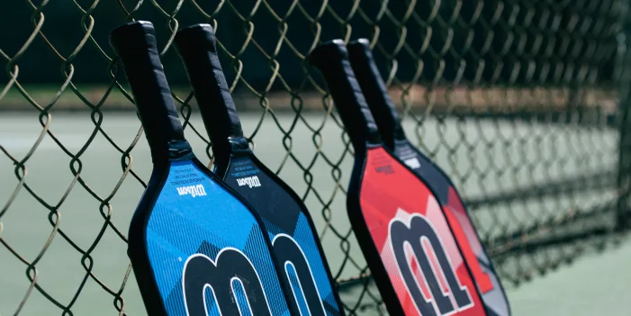 Manche Raquette Pickleball