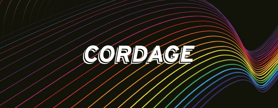 Cordage Badminton Li-Ning