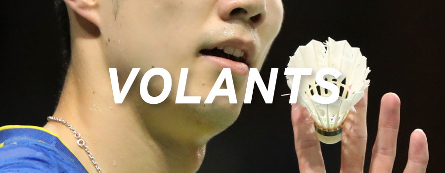 Volants Badminton Victor