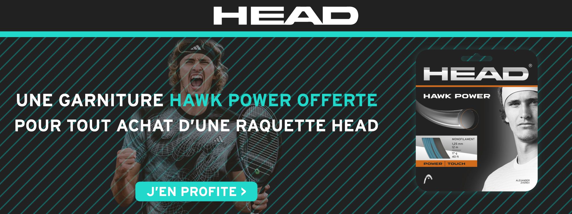 Head Hawk Power